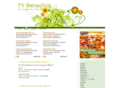recycle-tv.com