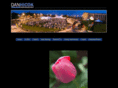 danhicok.com