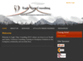 eaglevistaconsulting.com
