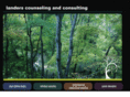 landerscounselingandconsulting.com