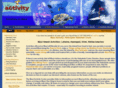 mauiactivitycenter.com
