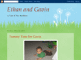 ethanandgavin.com