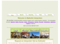 nashvilleinterpreter.com