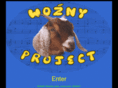 woznyproject.com