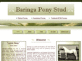 baringaponystud.com