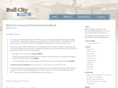 bullcitystartups.com