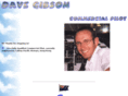 dgibson.biz