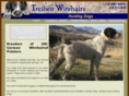 wirehaireddogs.com