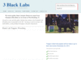 3blacklabs.com