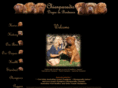 chienparadis.net