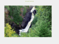 friendsofpattisonandamniconfalls.org