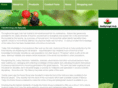healthybody-weight.com