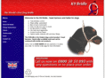 k9bridle.com