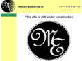 mesidorenterprise.com