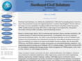 northeastcivilsolutions.com