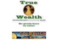 true-wealth.com