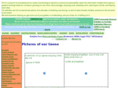 picturesofgeese.co.uk