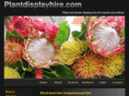 plantdisplayhire.com