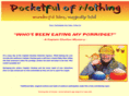 pocketfulofnothing.com