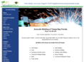 accurateweldingtampabay.com