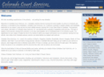 actionprocessservers.com