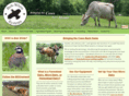 farmsteaddairy.com