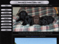 hiddenvalleylabs.com