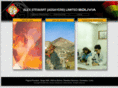 alexstewartbolivia.com