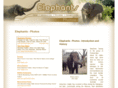 elephants-photos.com