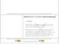 excalibur-marketing.net