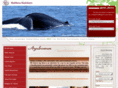 helikroholidays.com