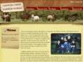 canyoncreekquarterhorses.com