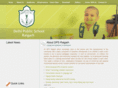 dpsraigarh.com