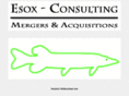 esox-consulting.com