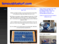 famousblueturf.com