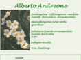 albertoandreone.com