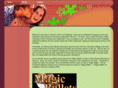 magicbulletshandbook.com