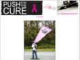 pushdan.com