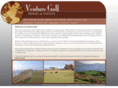 venturegolf.net