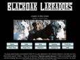 blackoaklabs.com