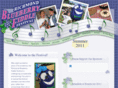 blueberryfiddlefestival.com