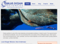 blueoceansciences.org