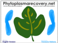 phytoplasmarecovery.net