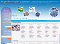 yogendraimpex.com