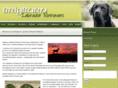 brigburn.com