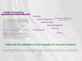 calebconsultingny.com