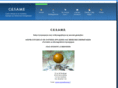 centre-cesame.com