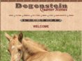 degensteinquarterhorses.com