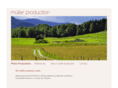 mueller-production.com