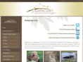sleepinglion.co.uk